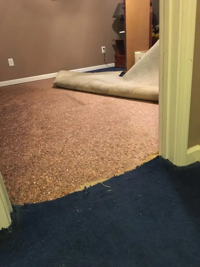 Carpet pad removal revealing water damage during Drying & Dehumidification in Mango