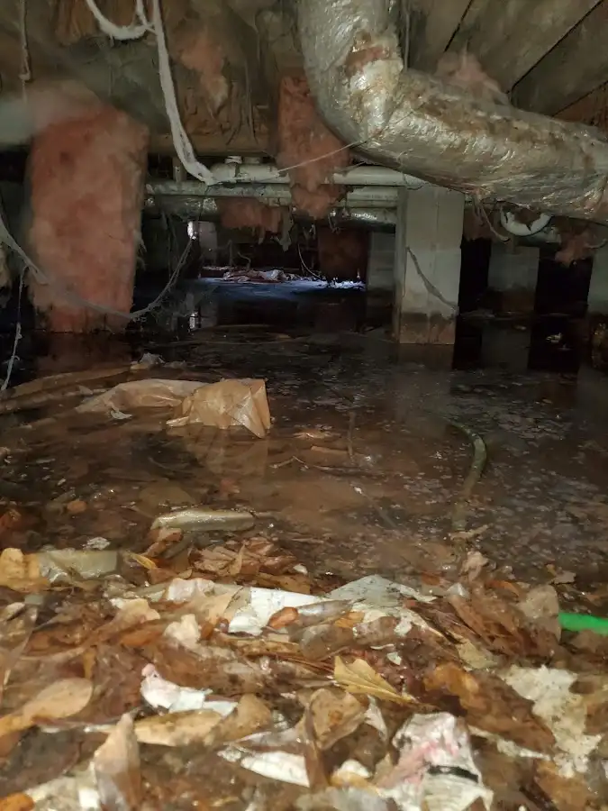 Crawl space flood assessment for Commercial Water Damage Restoration in Mango